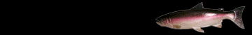 fish div