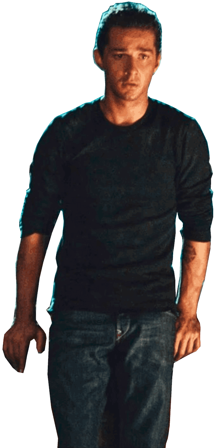 Sam Witwicky